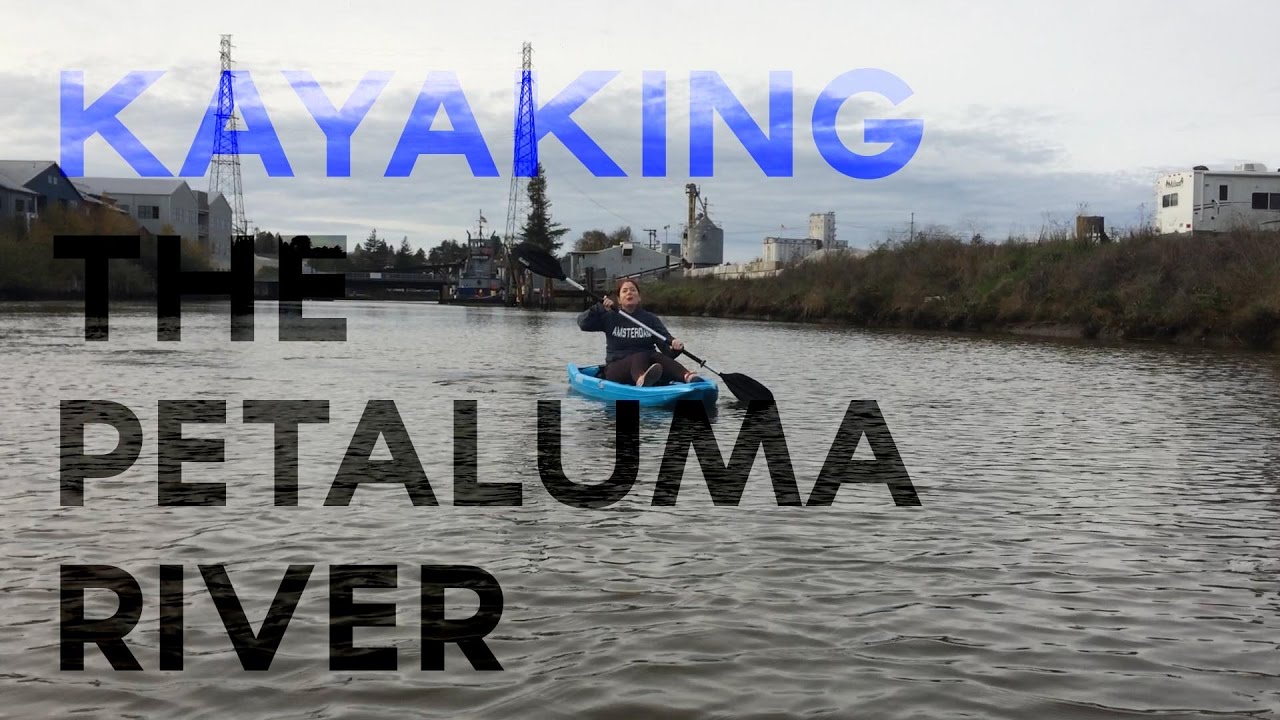 Leave Today EPS3 Kayaking the Petaluma River YouTube