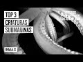 El enigma de 3 criaturas submarinas captadas en vídeo | Misterios de las profundidades