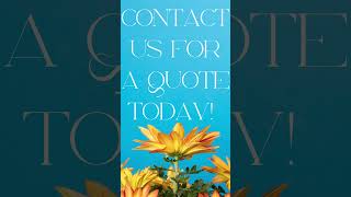 We Offer Customized Insurance For All Your Needs!