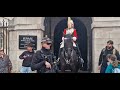 Kings guard asks tourist to get the police