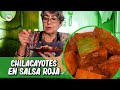 Deliciosos CHILACAYOTES DE RANCHO en salsa ROJA