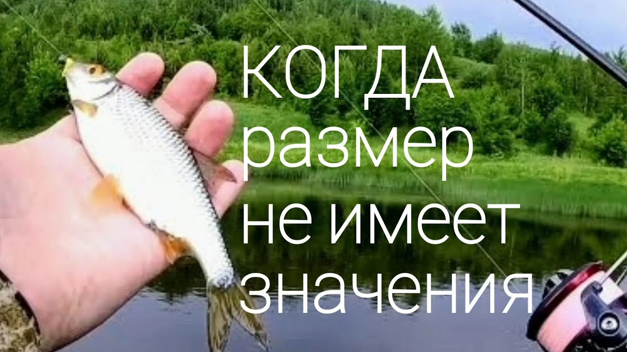 Мормышинг на оке Мормышинг на оке