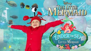 The Little Mermaid - UNDER THE SEA - Real Life Crab Sebastian - Martin at 7 years old