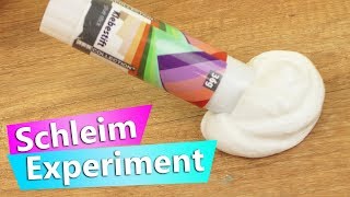 DIY Schleim aus Klebestift?! DIY Experiment | Slime selber machen | Super einfach