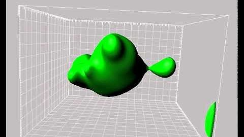 Nuclear division in a C  elegans embryo