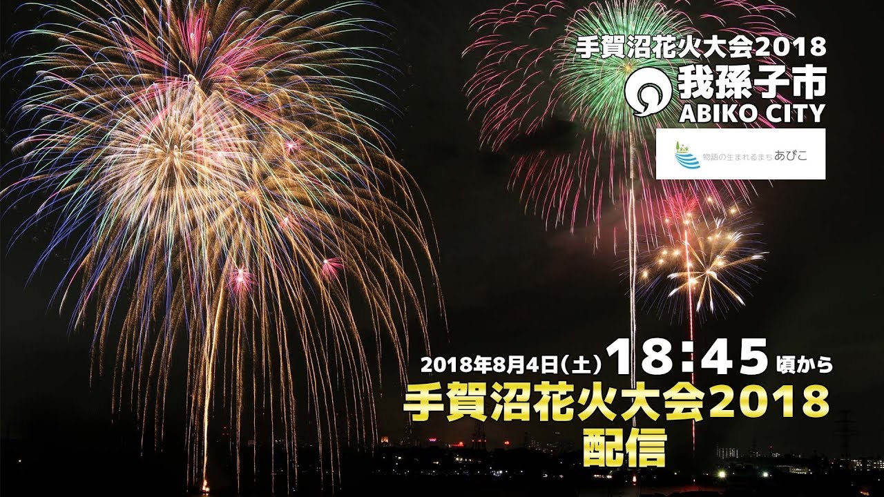 手賀沼花火大会ライブカメラ 千葉県我孫子市若松 ライブカメラdb