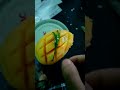 mango eating challenge accepted part 10