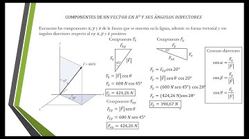 ¿Cómo calcular las componentes de un vector y sus ángulos directores en sistema de coordenadas 3D?