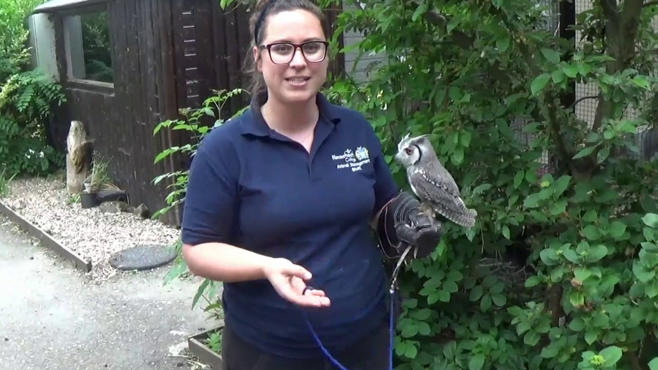 Reaseheath Masterclasses Animal Management An introduction to the