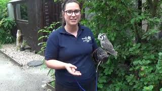 Reaseheath Masterclasses: Animal Management - An introduction to the Animal Management course