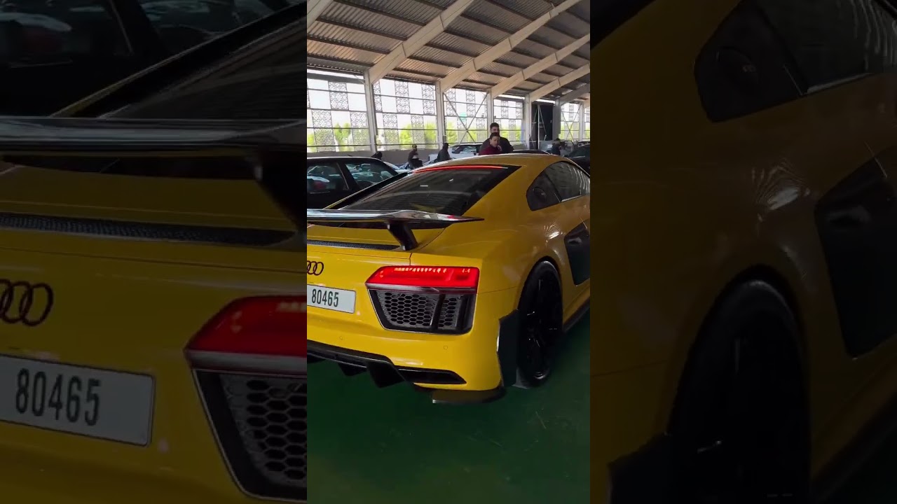 R8 V10 Plus | No Turbos. No Mercy. 