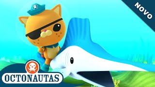 Octonautas - O Peixe-Vela Veloz Episódio Inteiro 24 Primeira Temporada
