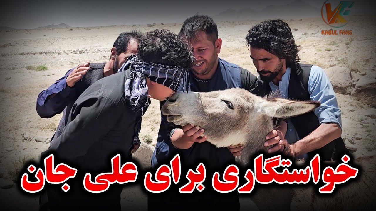 آغاز سفر جدید به جاغوری و مالستان - ولایت غزنی