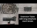Extension tubes with long telephoto zooms e.g. Olympus 40-150 F2.8 Pro & Panasonic G9