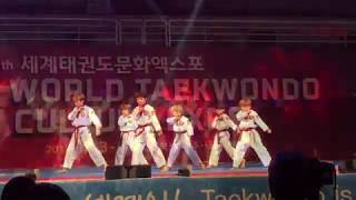 K-Tigers @World Taekwondo Expo Opening Ceremony!