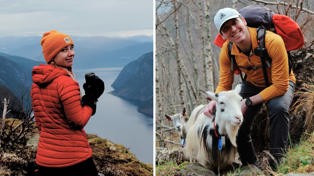 Hiking with Goats and Fjord Views | Tea with a View
