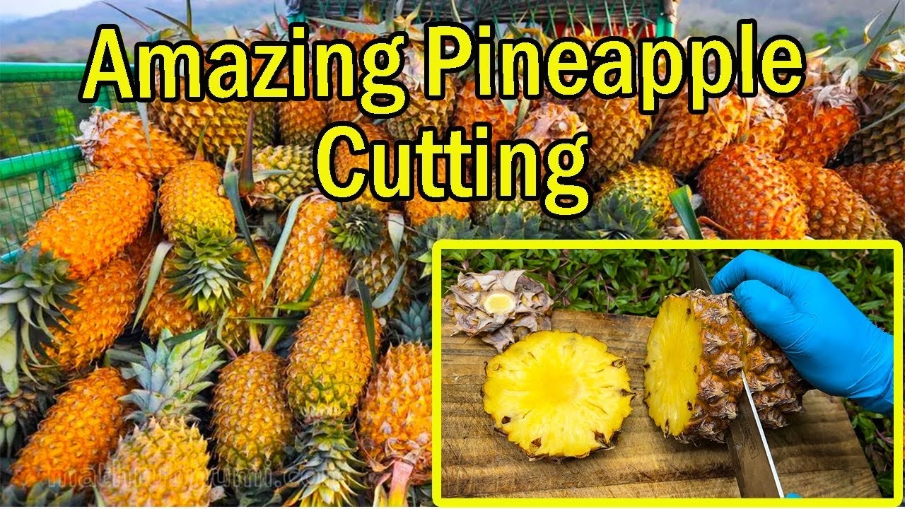 Amazing Pineapple Cutting Skills Tips Street Food Fruit Cutting 🍍🍍🍍 YouTube