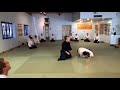 Aikido: Striking Training & Atemi Waza