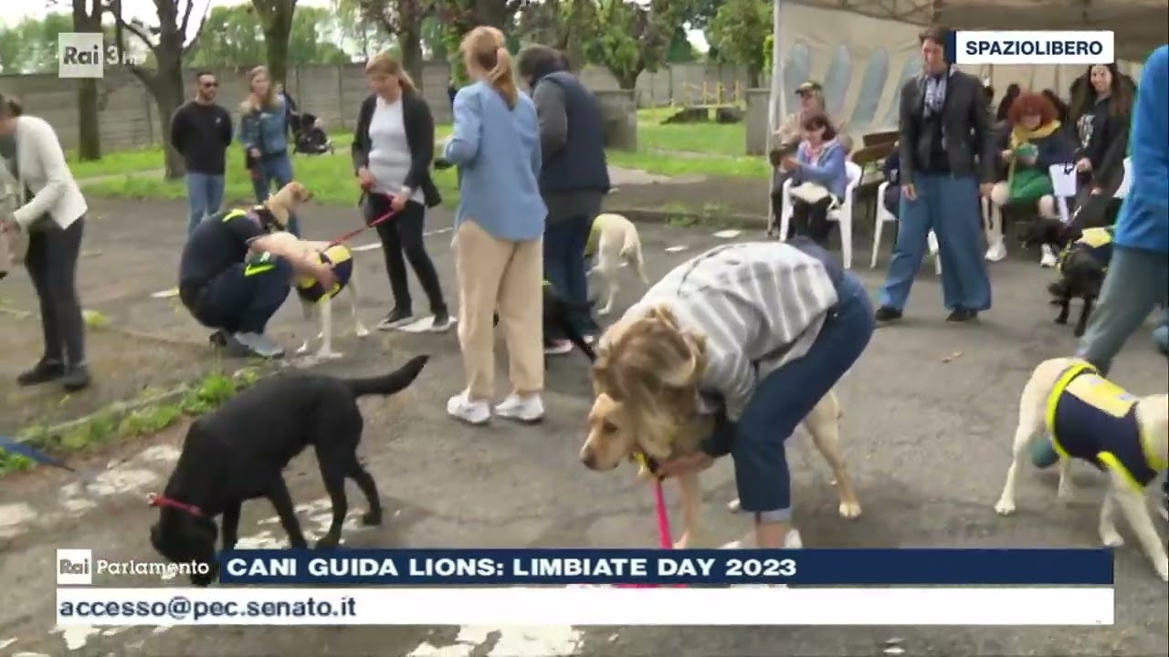 Servizio cani guida dei Lions addestriamo e consegniamo cani per ciechi