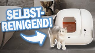 Beste SELBSTREINIGENDE KATZENTOILETTEN | Automatische Katzentoiletten, Katzenklos selbst reinigend