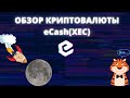 ОБЗОР КРИПТОВАЛЮТЫ eCash(XEC) l ЕСТЬ ЛИ ПЕРСПЕКТИВЫ В БУДУЩЕМ?