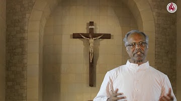 Twenty-seventh Sunday in Ordinary Time (7 Oct 2018)