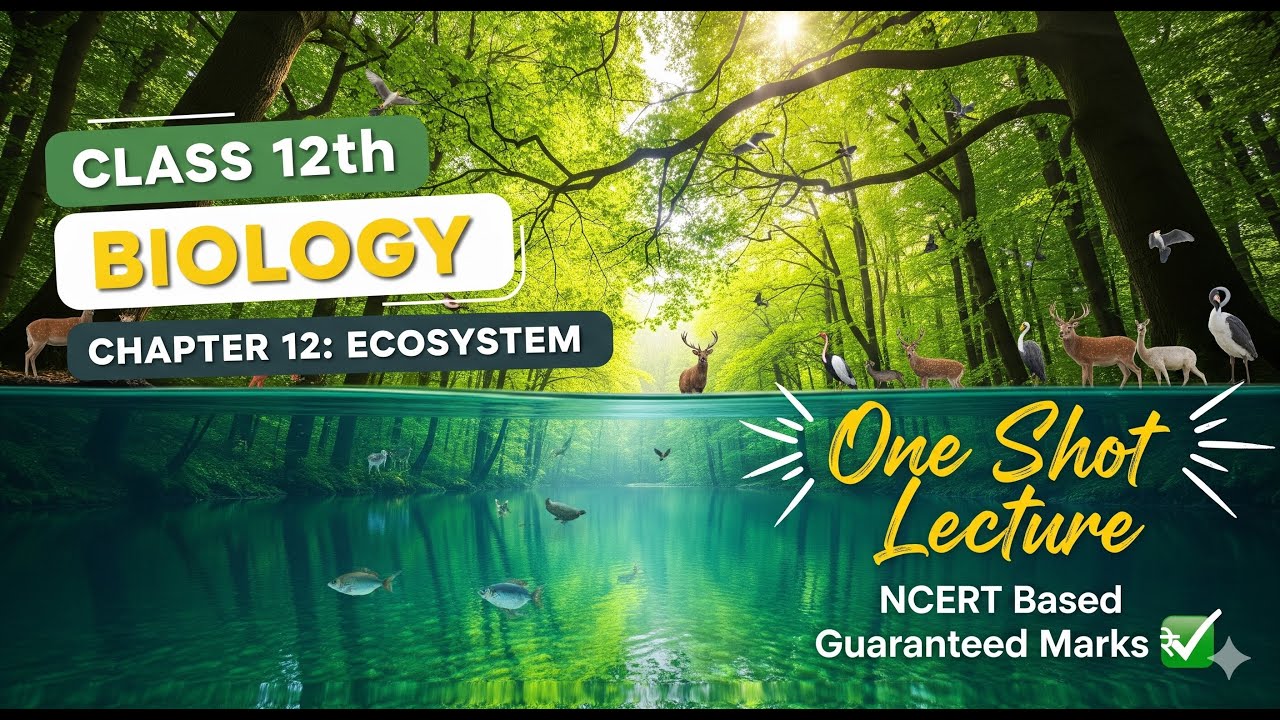 Chapter 12 : Ecosystem | NEET | NCERT | Biology | Class 12th | One Shot ...