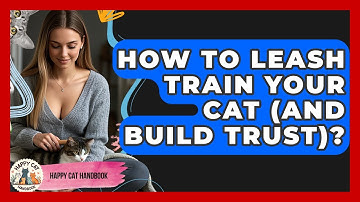 How To Leash Train Your Cat (and Build Trust)? - Happy Cat Handbook