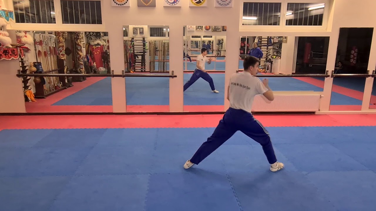 Wushutraining 5 - 4 Grundformen