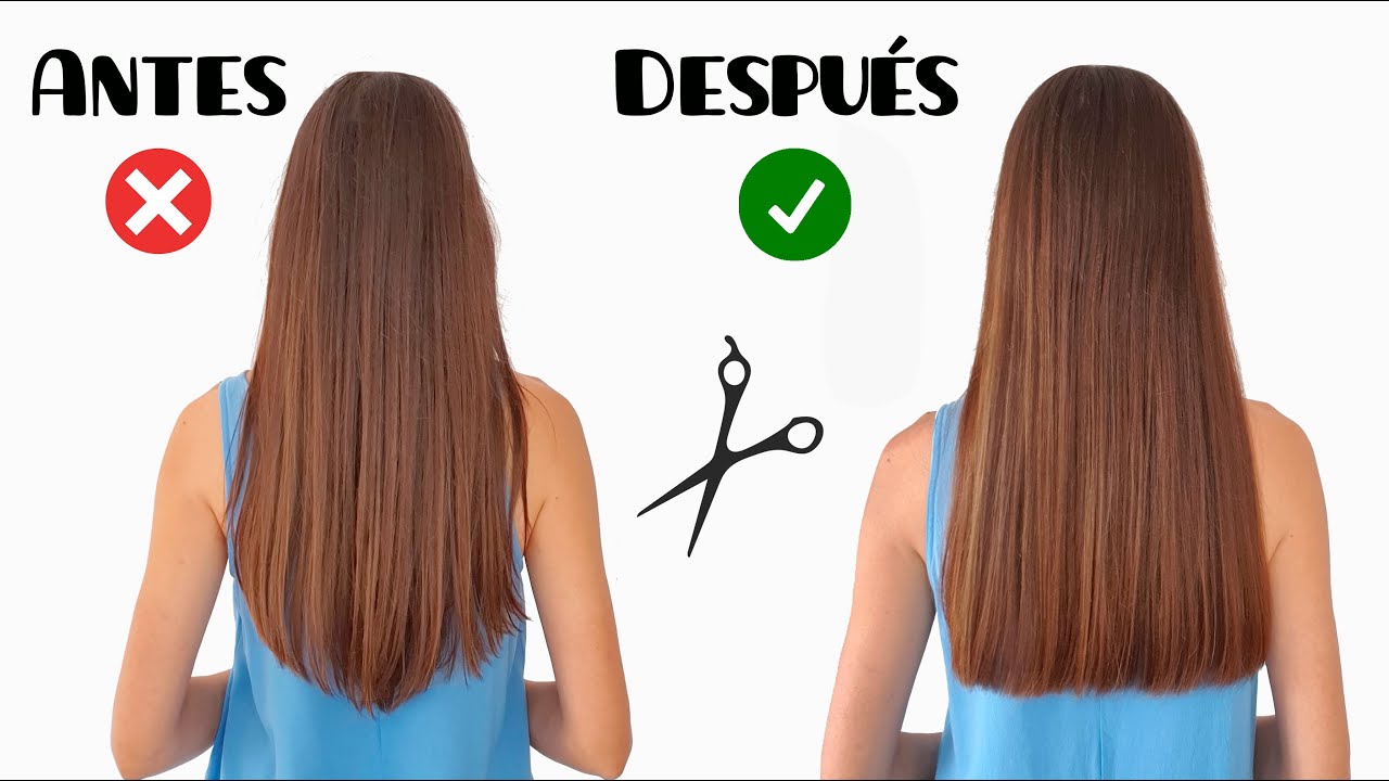 ¿Cuándo (y cuánto) debo cortar el pelo para sanearlo?