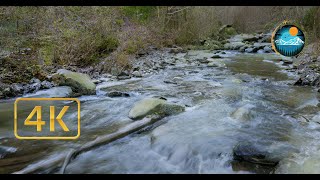 River Sfârdin - 4 hours of water flowing - relaxing nature ambience with natural sound - 4K Ultra Hd