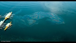 Coron Oil Spill-4