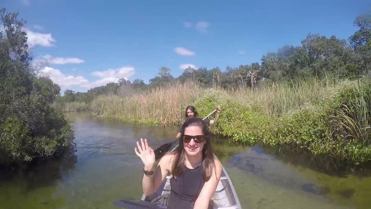 Juniper Springs Canoe RunOcala National Forest YouTube