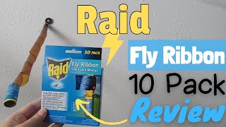 Raid Fly Ribbon Trap (10-Pack) FR10B-RAID The Home Depot, 43% OFF