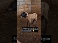 #kesfet #caps #eğlence #kahkaha #komik #mizah#komedi #viral #shortvideo #fyp: #keşfet#keşfetteyiz