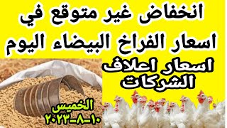 اسعار الفراخ البيضاء اليوم واسعار اعلاف الشركات اليوم في مصر اسعار الدجاج اليوم