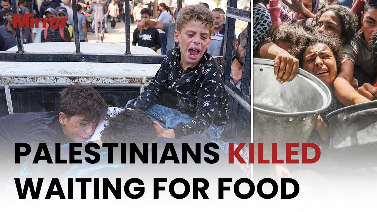 'MASSACRE' kills 51 Palestinians at UN aid site in Gaza