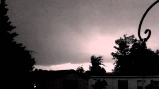 Alice In Chains Whale and Wasp.wmv