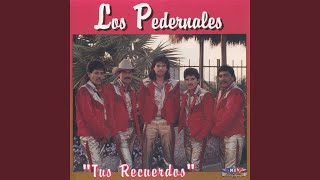 Video thumbnail of "Los Pedernales - La del Moño Colorado"