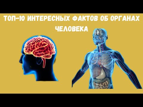 Топ-10 интересных фактов