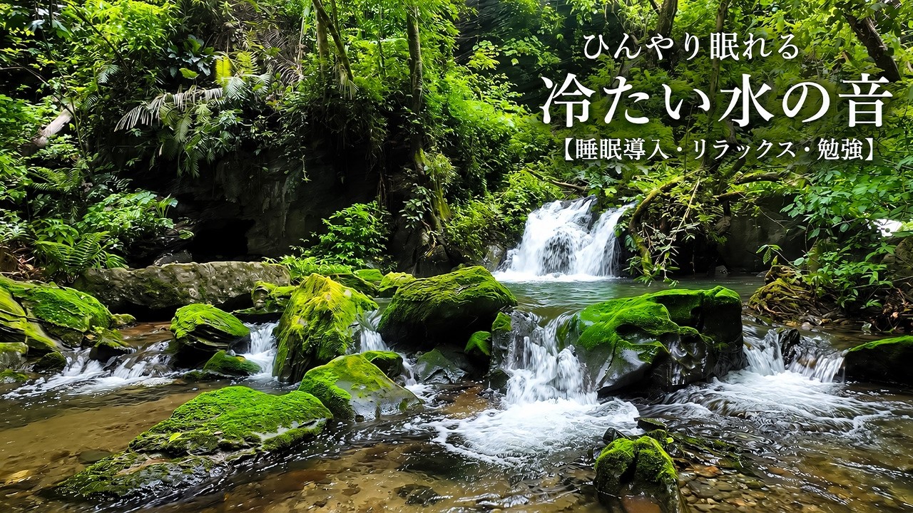 水の音ASMR】ひんやり涼しい川のせせらぎ｜睡眠・勉強・リラックス