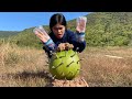 Survival Bushcraft:SMART idea and USEFUL in Forest #survival #bushcraft #camping #skills 
