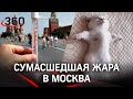 А как вы спасаетесь от жары? #shorts