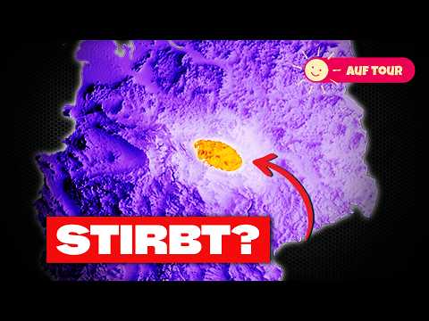 Warum der Harz gerade komplett abstirbt | Fun Facts mit André Herrmann