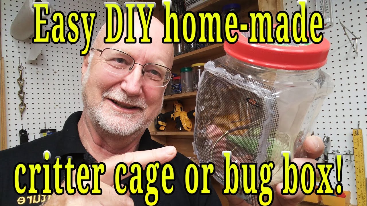 Green DIY YAVOUN Critter Cage Bug Catcher and Habitat Insect and Butterfly Habitat Cage Terrarium for Indoor/Outdoor Nature Bound Bug Catcher Critter Barn Habitat Insect Collecting 