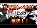 ポケモンブラックホワイト(2) の裏技1.レベル上げ