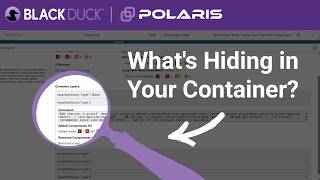 How to Scan a Container Image for Open Source Risk