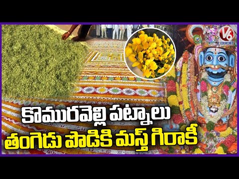 Tangedu Flower Powder, Used In Komuravelli Mallanna Patnalu | Siddipet | V6 News - V6NEWSTELUGU