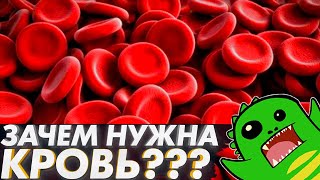 Зачем нужна КРОВЕНОСНАЯ СИСТЕМА? | ВВЕДЕНИЕ | Кровь | Целом | Мезодерма