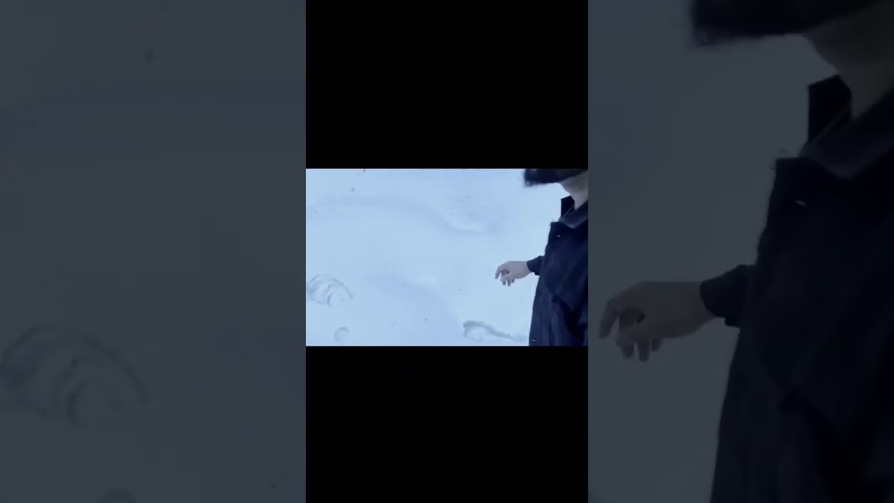 Pakistani ghost 👻 hunter - CarryMinati